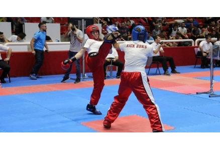 Kick Boksun Yararları