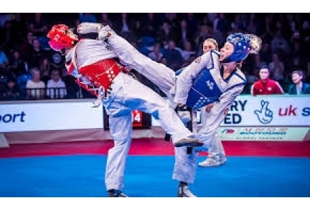 Ülkemizde Taekwon do Antrenörleri Kimlerdir