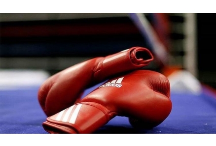 Nilüfer Kick Boks