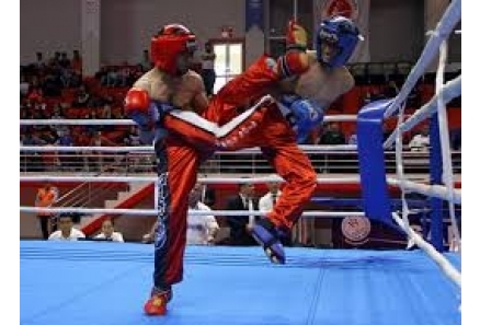 Bursa Kick Boks Nilüfer