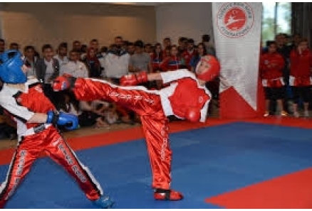 Dövüş Sporları