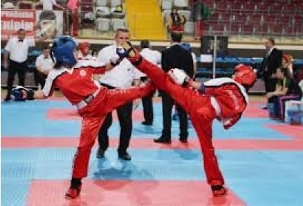 Nilüfer Kick Boks