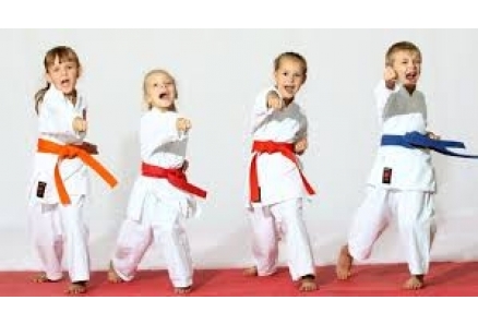 ŞİDDETİ YOK ETME SANATI KARATE